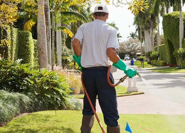 About Arapahoe WY Pest Control